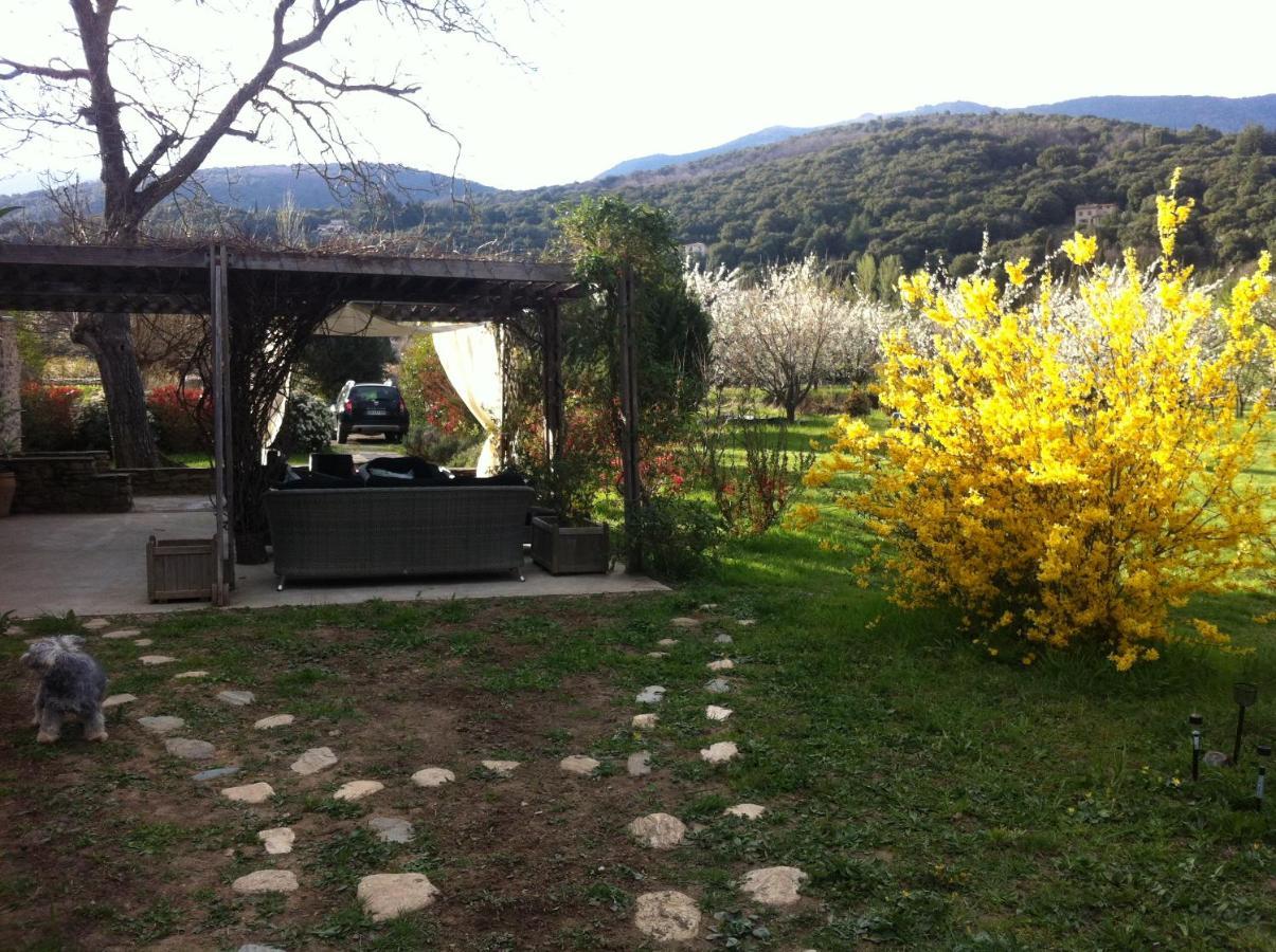 Bed and Breakfast Le Moulin D'Arcas. Prémian Exterior foto